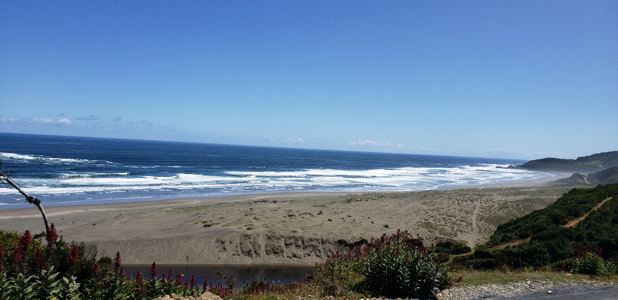 Costa verde y paisaje costero del sur de Chile