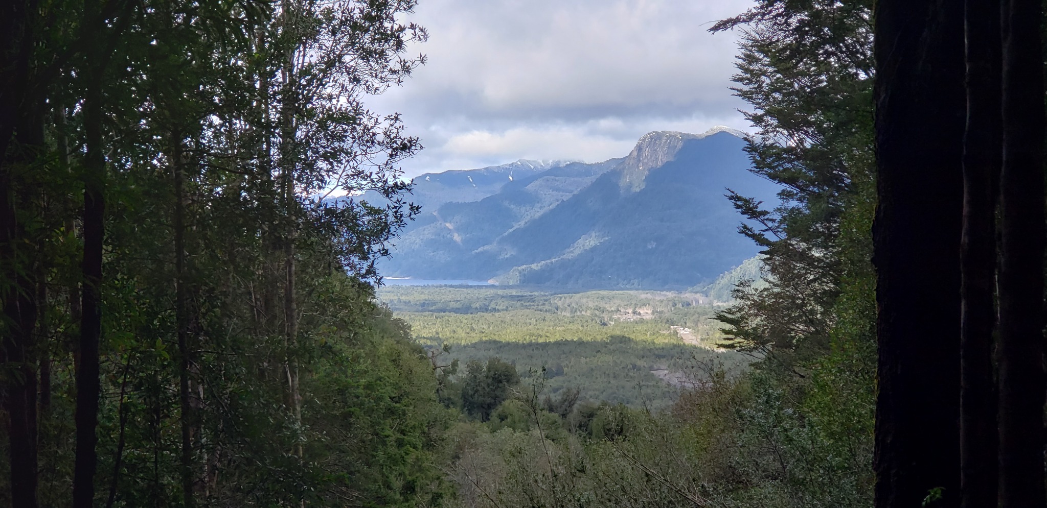 Mirador entre bosques del sur de Chile